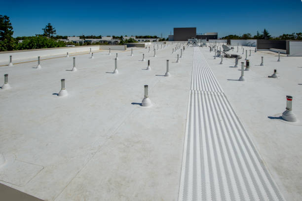 Best Steel Roofing  in Morongo Valley, CA